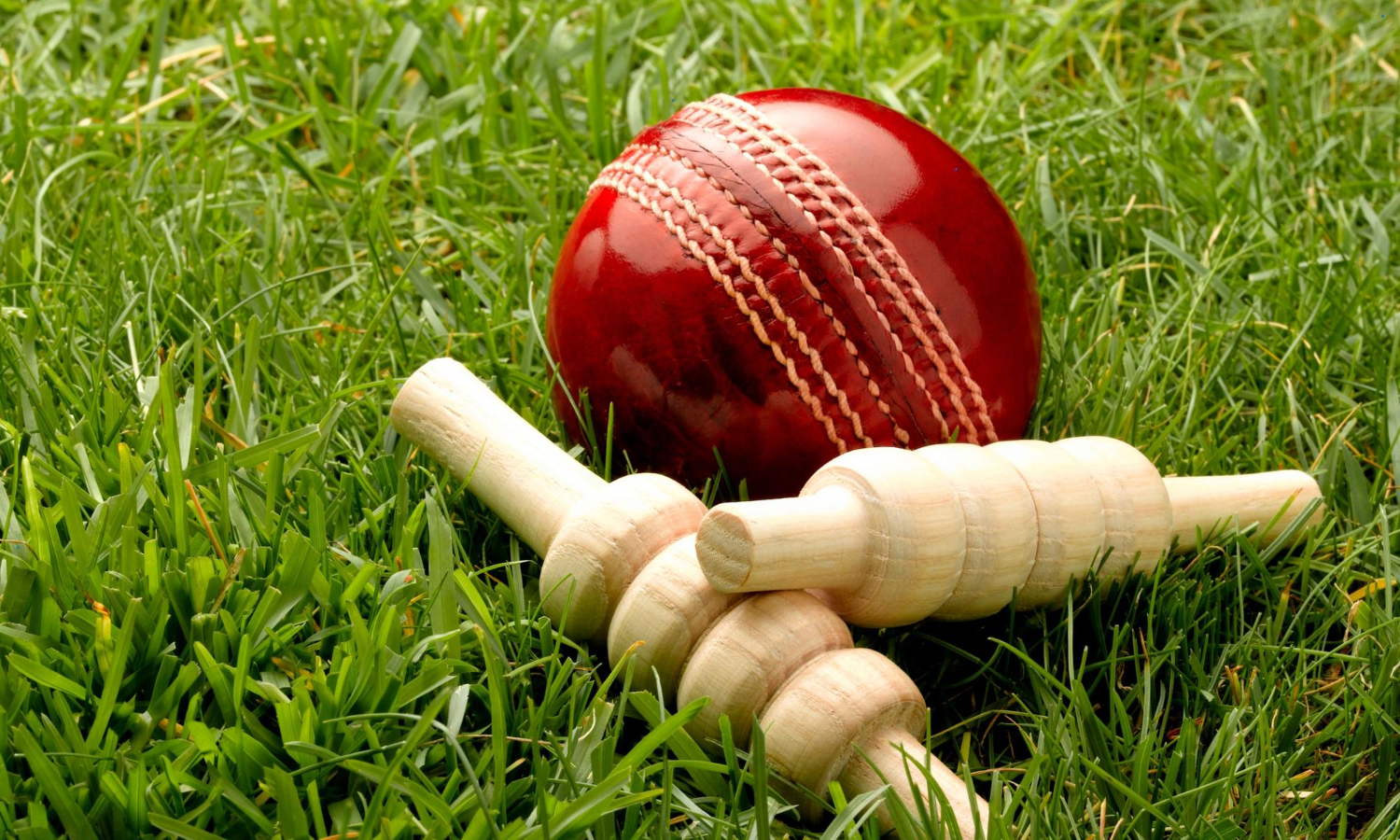 What Cricket Can Teach Us About Playbooks