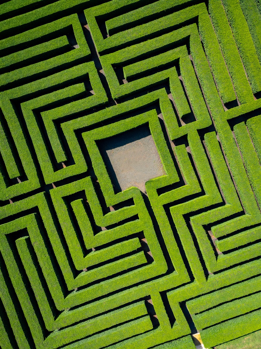 The Decision Intelligence Buyer's Guide 2026